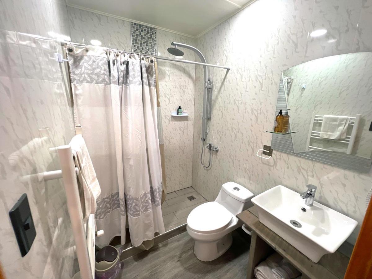 Incredible Downtown Duplex With Interior Backyard Lejlighed Punta Arenas Eksteriør billede